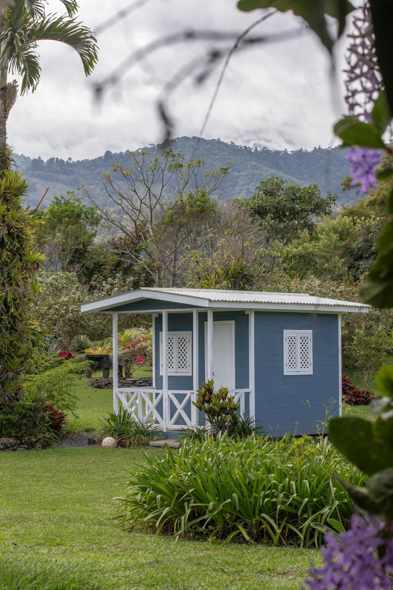 Bed and Breakfast Aquiares Coffee Farm Casa Hacienda La Esperanza Turrialba Zewnętrze zdjęcie