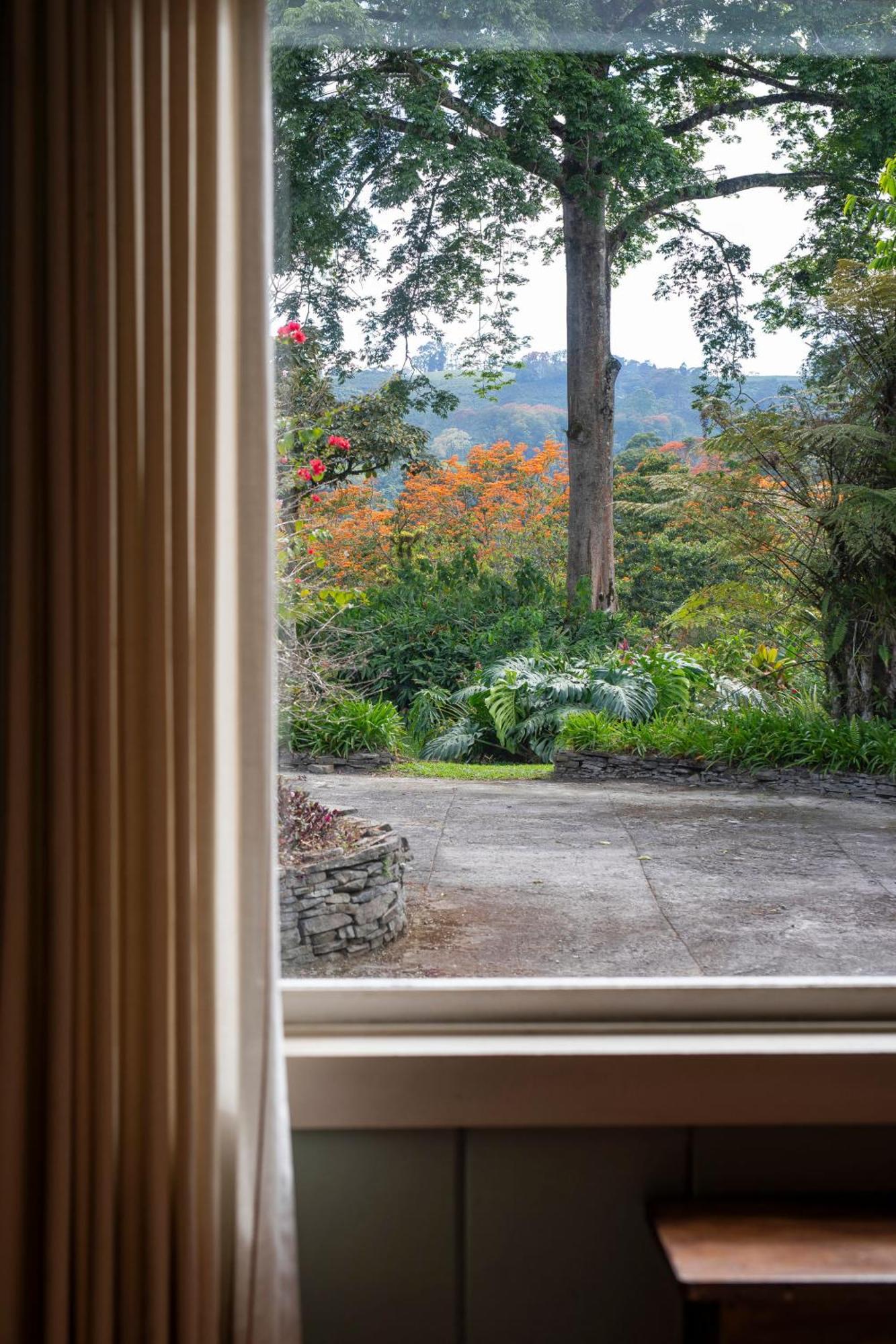 Bed and Breakfast Aquiares Coffee Farm Casa Hacienda La Esperanza Turrialba Zewnętrze zdjęcie