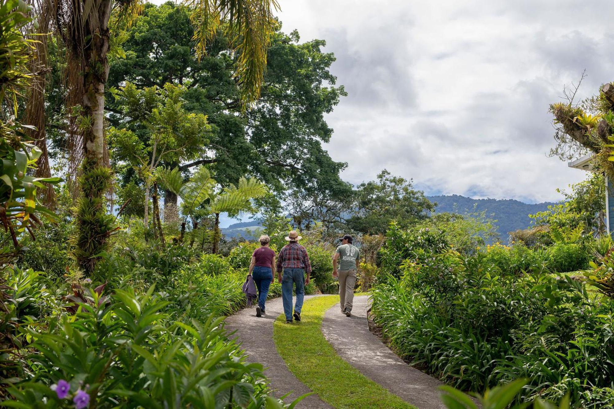 Bed and Breakfast Aquiares Coffee Farm Casa Hacienda La Esperanza Turrialba Zewnętrze zdjęcie