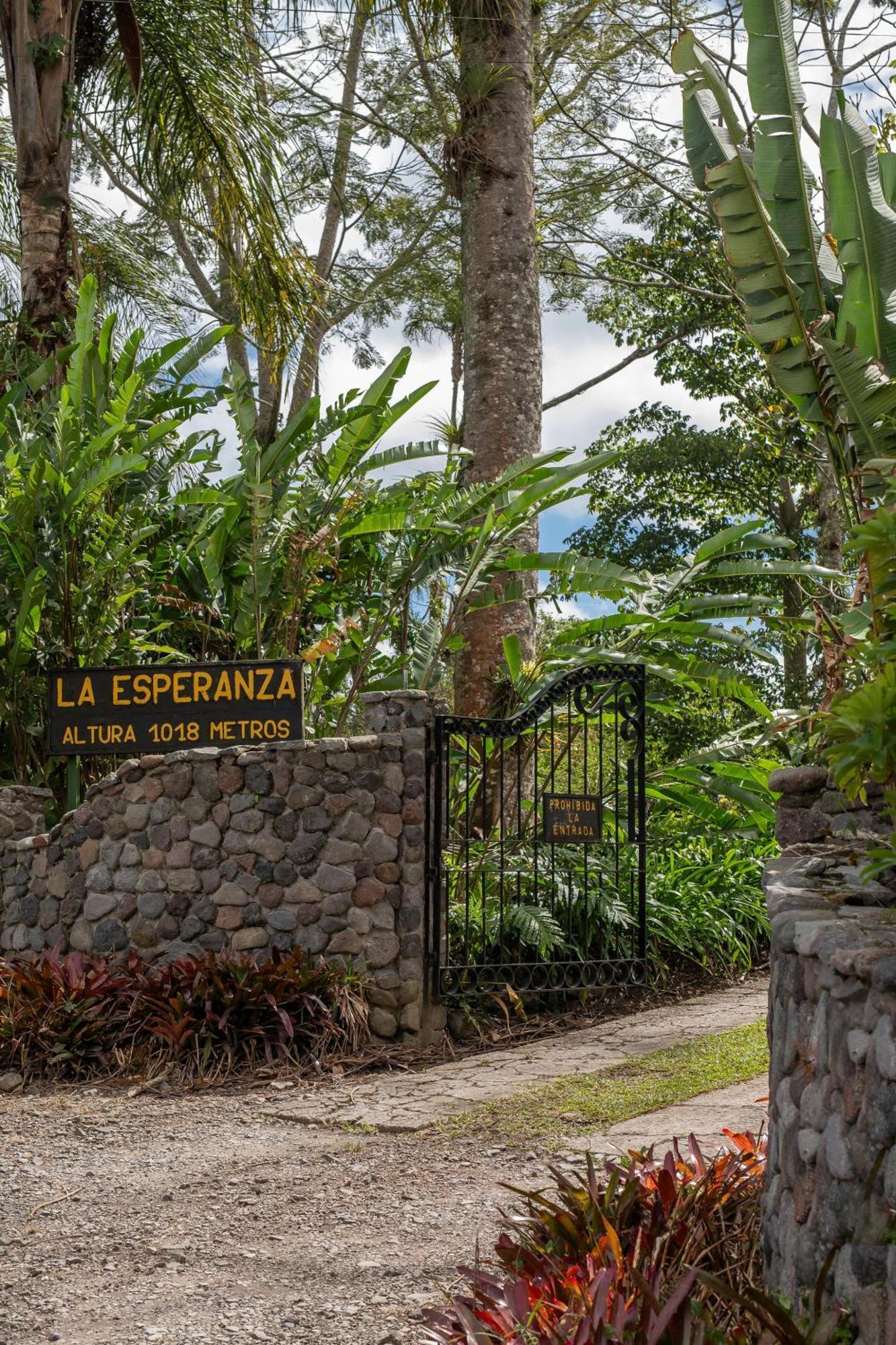 Bed and Breakfast Aquiares Coffee Farm Casa Hacienda La Esperanza Turrialba Zewnętrze zdjęcie