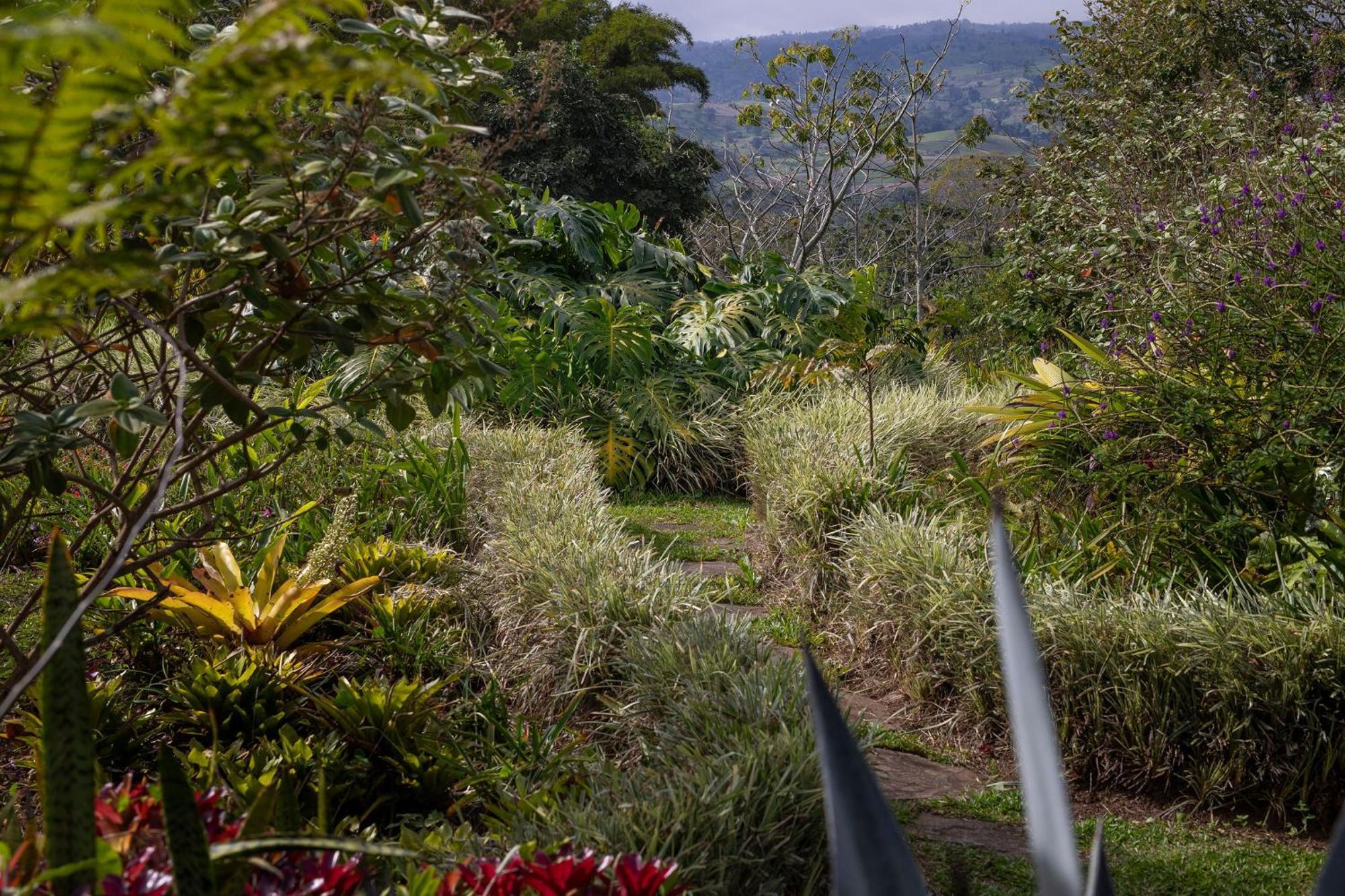 Bed and Breakfast Aquiares Coffee Farm Casa Hacienda La Esperanza Turrialba Zewnętrze zdjęcie