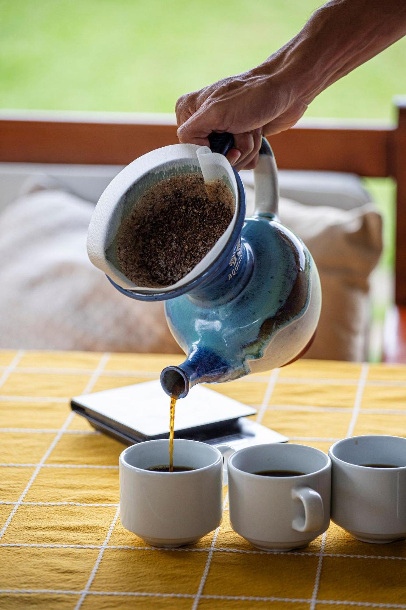 Bed and Breakfast Aquiares Coffee Farm Casa Hacienda La Esperanza Turrialba Zewnętrze zdjęcie