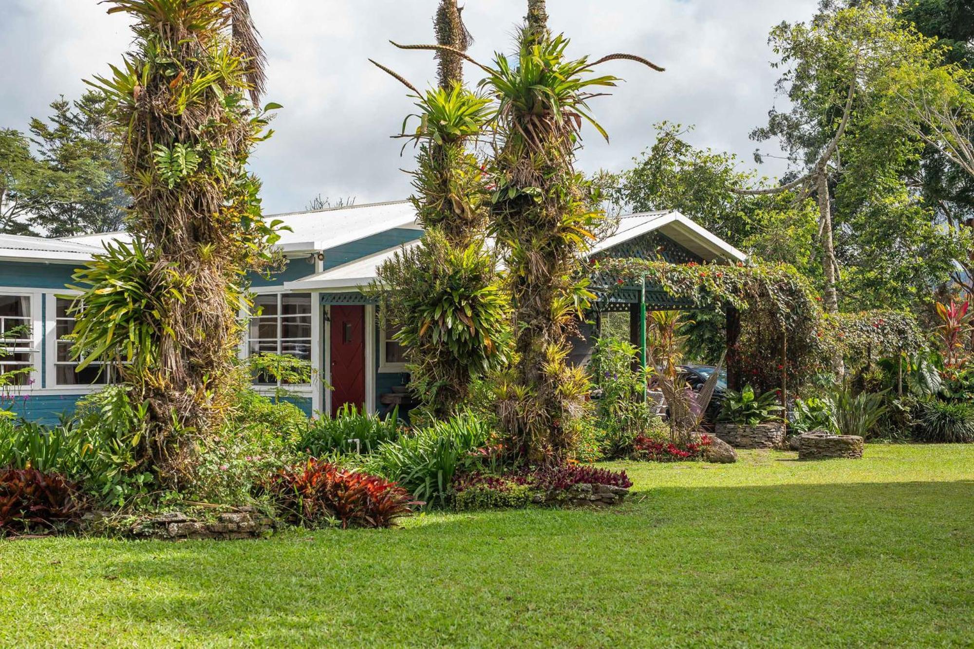 Bed and Breakfast Aquiares Coffee Farm Casa Hacienda La Esperanza Turrialba Zewnętrze zdjęcie