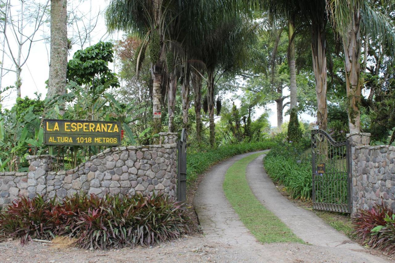 Bed and Breakfast Aquiares Coffee Farm Casa Hacienda La Esperanza Turrialba Zewnętrze zdjęcie